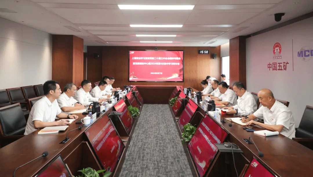 上海寶冶黨委理論學習中心組召開黨的二十屆三中全會精神專題學習研討會